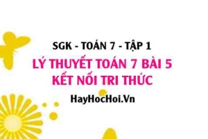 Lý thuyết Toán 7 Bài 5: Số Thập Phân Vô Hạn Tuần Hoàn (Kết Nối Tri Thức)